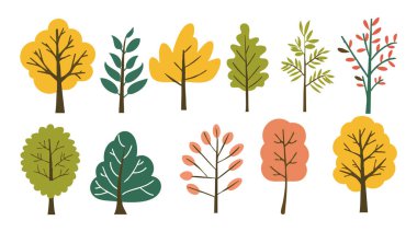 Ağaç ve yaprak koleksiyonu el çizimi düz tasarım vektör elementi. Botanik ağaç seti ve yapraklı ve yemyeşil olanlar.