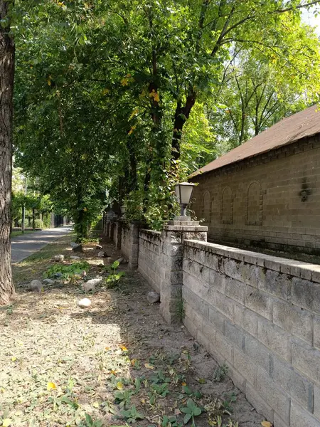 Parktaki eski ahşap ev.