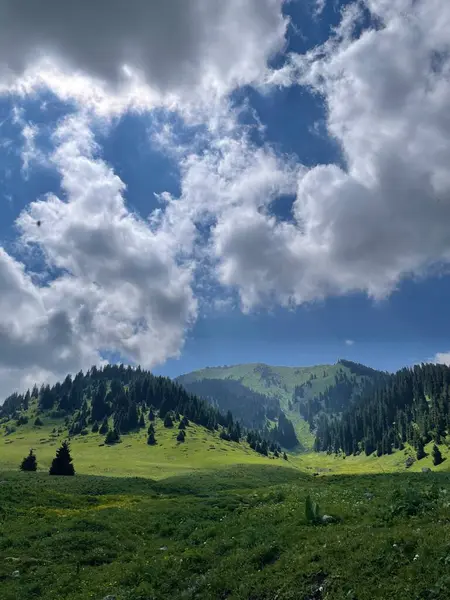 Dağları ve bulutlu gökyüzü olan güzel bir manzara.