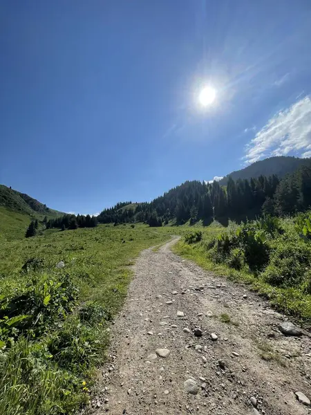 Karpat Dağları 'ndaki güzel dağ manzarası