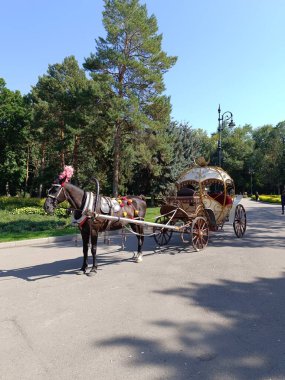 Yazın güneşli bir günde yeşil çimlerde at arabası