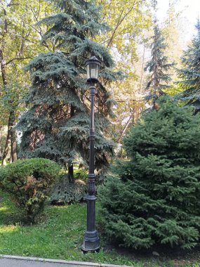 Arka planda güzel bir park