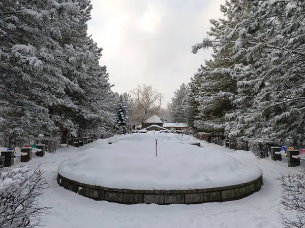 Kış parkı karla kaplandı
