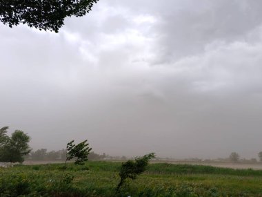 Tarlada fırtına, yaz manzarası