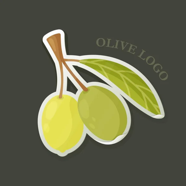 Krásná Jehla Oliv Zeleném Pozadí Vektorové Znázornění Loga Oliv Znak — Stockový vektor
