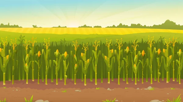 Wektorowa Ilustracja Letniego Pola Pole Kukurydzy Piękny Krajobraz Wiejskiej Przyrody — Wektor stockowy