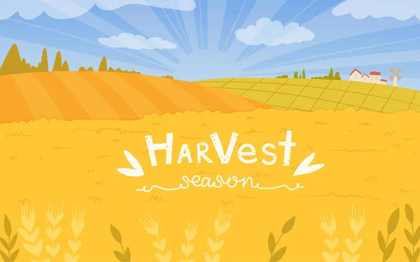 Vector Illustration Harvest Season Beautiful Banner Countryside Field Wheat — Stock Vector