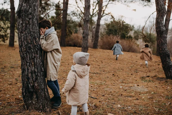 Kinderen Die Verstoppertje Spelen Een Bos Tussen Bomen — Stockfoto