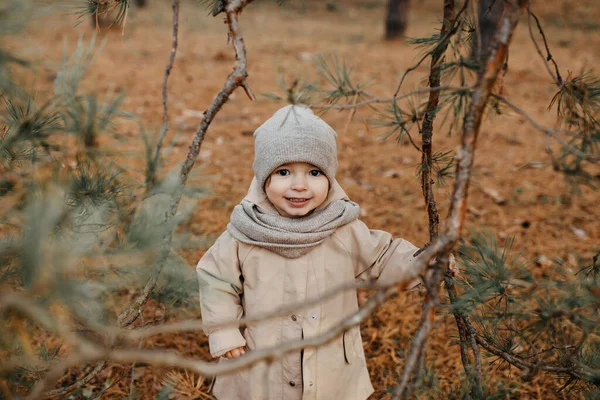 Маленькая Девочка Гуляющая Парке Поздним Осенним Днем Вязаной Шляпе Шарфе — стоковое фото