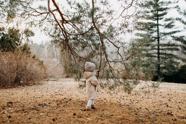 Little Girl Walking Forest Late Autumn Day Holding Big Fir — Stockfoto