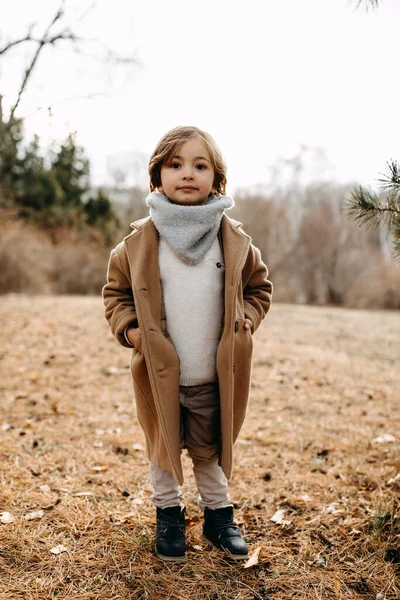 Sonbahar Günü Parkta Yün Ceket Giyen Küçük Bir Çocuk — Stok fotoğraf
