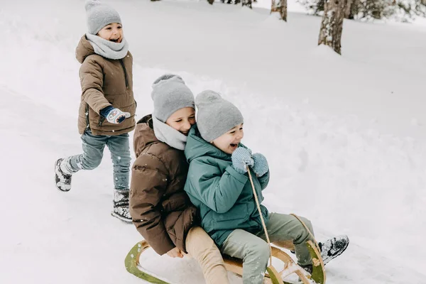 Tři Kluci Jezdí Saních Zimním Lese Smějí Baví — Stock fotografie