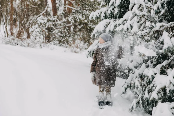 Çocuk Karla Kaplı Büyük Bir Ağaç Dalının Altında Duruyor Sallıyor — Stok fotoğraf
