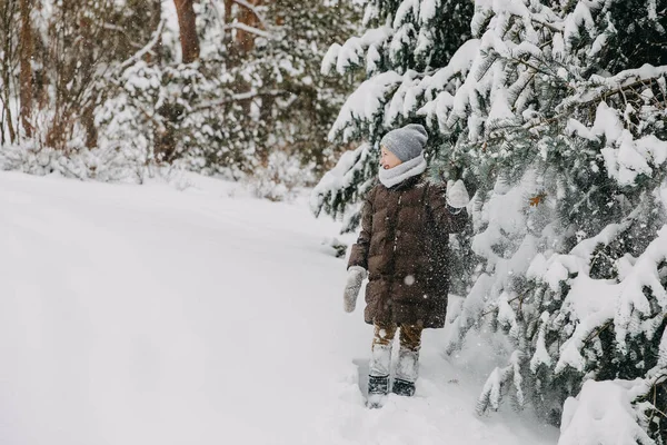 Çocuk Karla Kaplı Büyük Bir Ağaç Dalının Altında Duruyor Sallıyor — Stok fotoğraf