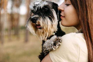 Minyatür bir schnauzer köpeğine sarılan esmer bir kadının yakın plan portresi..