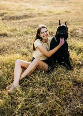 Genç esmer kadın tarlada oturmuş köpeğine sarılıyor. Dev schnauzer cinsi..