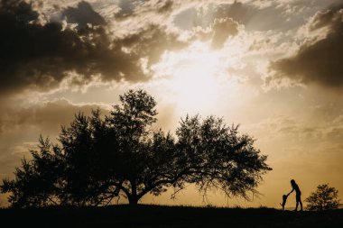 Gün batımında, tarlada büyük bir ağacın yanında köpekle oynayan bir kadının silueti..