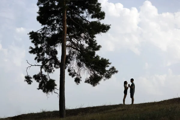 Silhouetten Eines Paares Das Auf Einem Feld Neben Einem Großen — Stockfoto