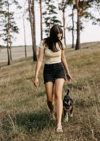 Ung Kvinna Tränar Hund Park Miniatyr Schnauzer Promenader — Stockfoto