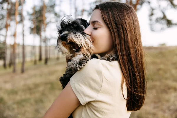 Jovem Morena Abraçando Cão Raça Schnauzer Miniatura Beijando — Fotografia de Stock