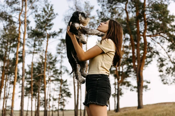 一个年轻的黑发女人抱着一只迷你雪纳泽品种的狗 和它玩耍 — 图库照片