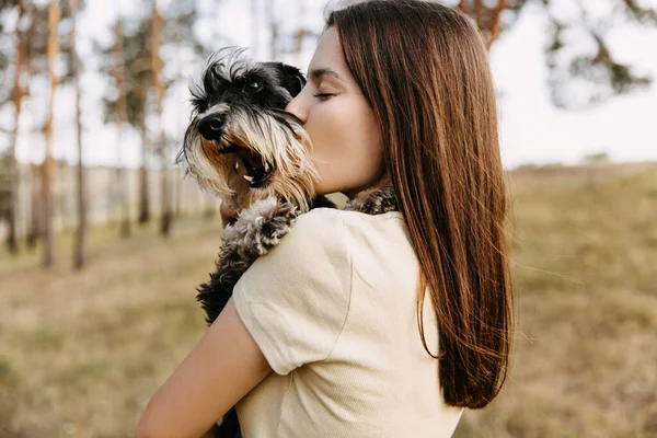 Jovem Morena Abraçando Cão Raça Schnauzer Miniatura Beijando — Fotografia de Stock