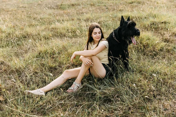 Mladá Brunetka Žena Sedí Poli Vedle Velkého Černého Psa Obří — Stock fotografie