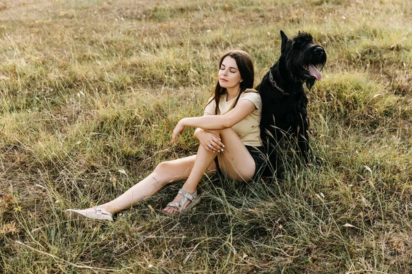 Mladá Brunetka Žena Sedí Poli Vedle Velkého Černého Psa Obří — Stock fotografie