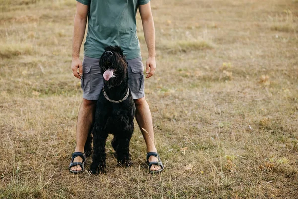 Mann Und Ein Schwarzer Reinrassiger Riesenschnauzerhund Stehen Auf Offenem Feld — Stockfoto