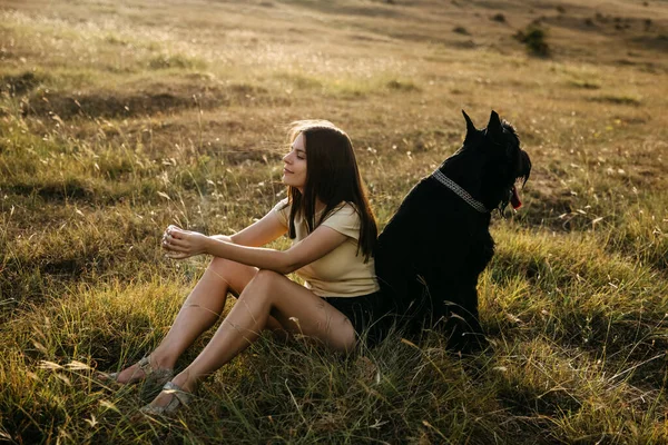若いですブルネット女性に座っていますフィールドの横にある大きな黒い犬巨大シュノーザー品種 — ストック写真