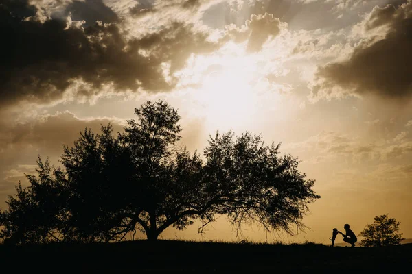 Силуэт Женщины Играющей Собакой Закате Рядом Большим Деревом Поле — стоковое фото