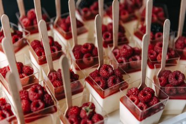 Raspberry pana cotta in small square plastic cups.