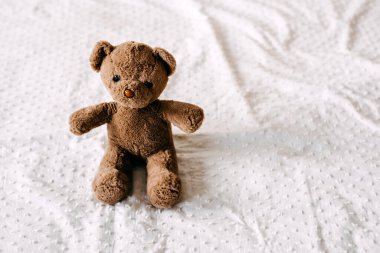 Old vintage brown teddy bear toy on a white blanket. 