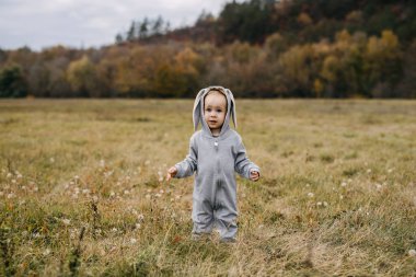 Little child in a grey bunny costume walking in an open field.
