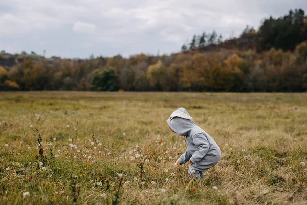 Little Child Grey Bunny Costume Walking Open Field — Stock Photo, Image