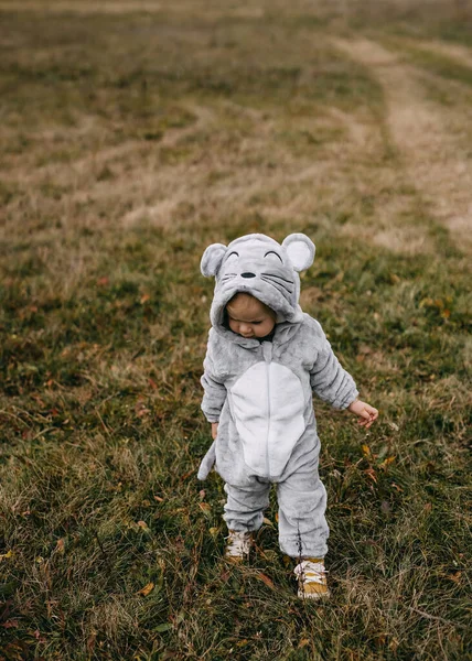 Little child in a plush mouse costume walking in an open field.