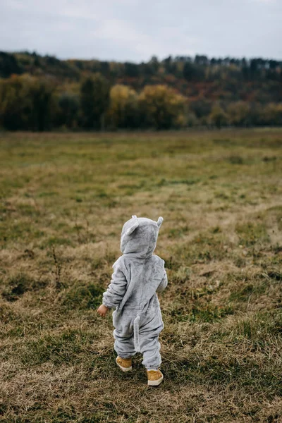 Little child in a plush mouse costume walking in an open field towards a forest.