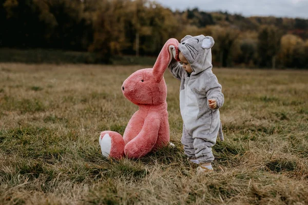 Little child wearing a plush mouse costume, playing with a big plush bunny toy, outdoors, in an open field.