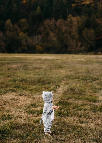 Little child in a plush mouse costume standing in an open field, looking towards a forest.