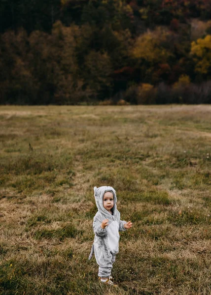 Little child in a plush mouse costume standing in an open field, looking at camera.