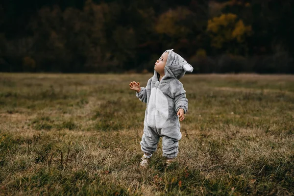 Little child in a plush mouse costume standing in an open field, looking up.