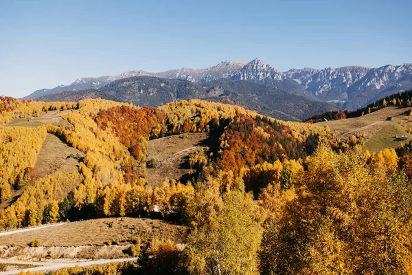Sıcak Bir Sonbahar Güneşli Bir Günde Tepelerin Dağların Ardında Renkli — Stok fotoğraf