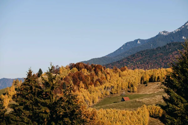 Widok Mały Domek Wzgórzu Górach Ciepły Jesienny Słoneczny Dzień — Zdjęcie stockowe