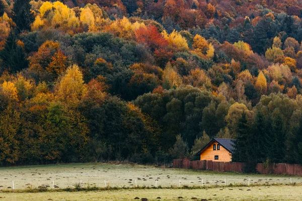 Деревянный Домик Подножия Холмов Ярким Осенним Фоном — стоковое фото