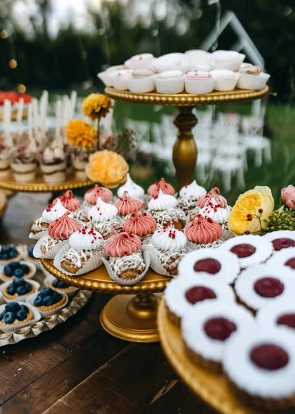 Candy Bar Wedding Sweet Table Eclairs Different Handmade Desserts Outdoors — Stock Photo, Image