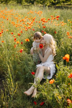 Genç anne ve küçük oğlu vahşi kırmızı gelinciklerle bir tarlada oturuyor, sarılıyor ve yanaktan öpüşüyorlar..