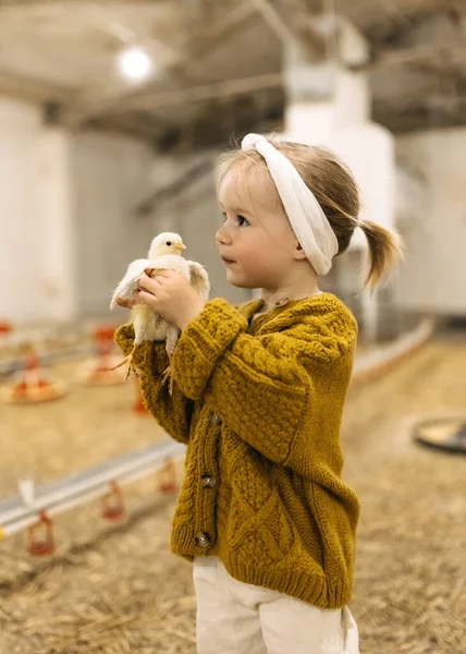 Liten Flicka Som Håller Brud Stående Lada Fjäderfäfarm — Stockfoto