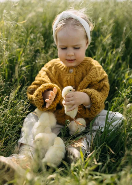 Child Playing Chicks Field Sitting Green Grass — Stock Photo, Image