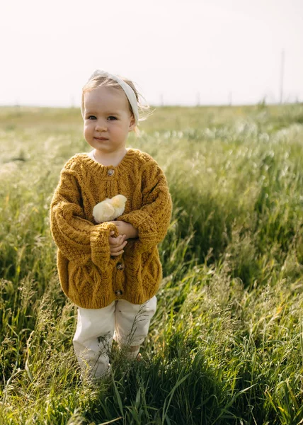 Dziewczyna Trzyma Małą Pisklę Ramionach Stojąc Polu Wysoką Zieloną Trawą — Zdjęcie stockowe