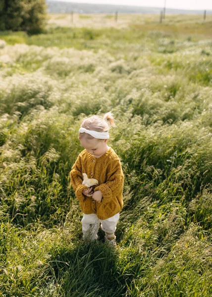 Girl Holding Little Chick Arms Standing Field Tall Green Grass — Stock Photo, Image